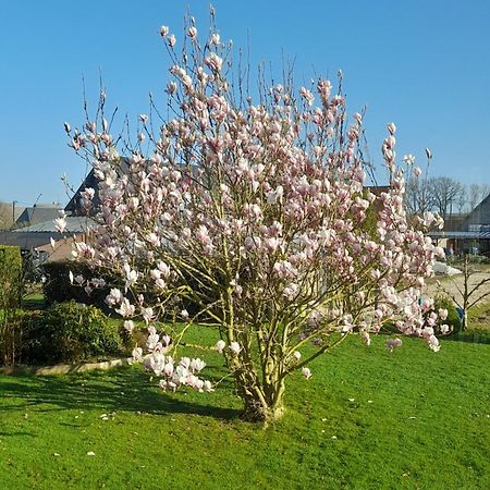 Apartament L'Abri Des Ames Gerponville Zewnętrze zdjęcie